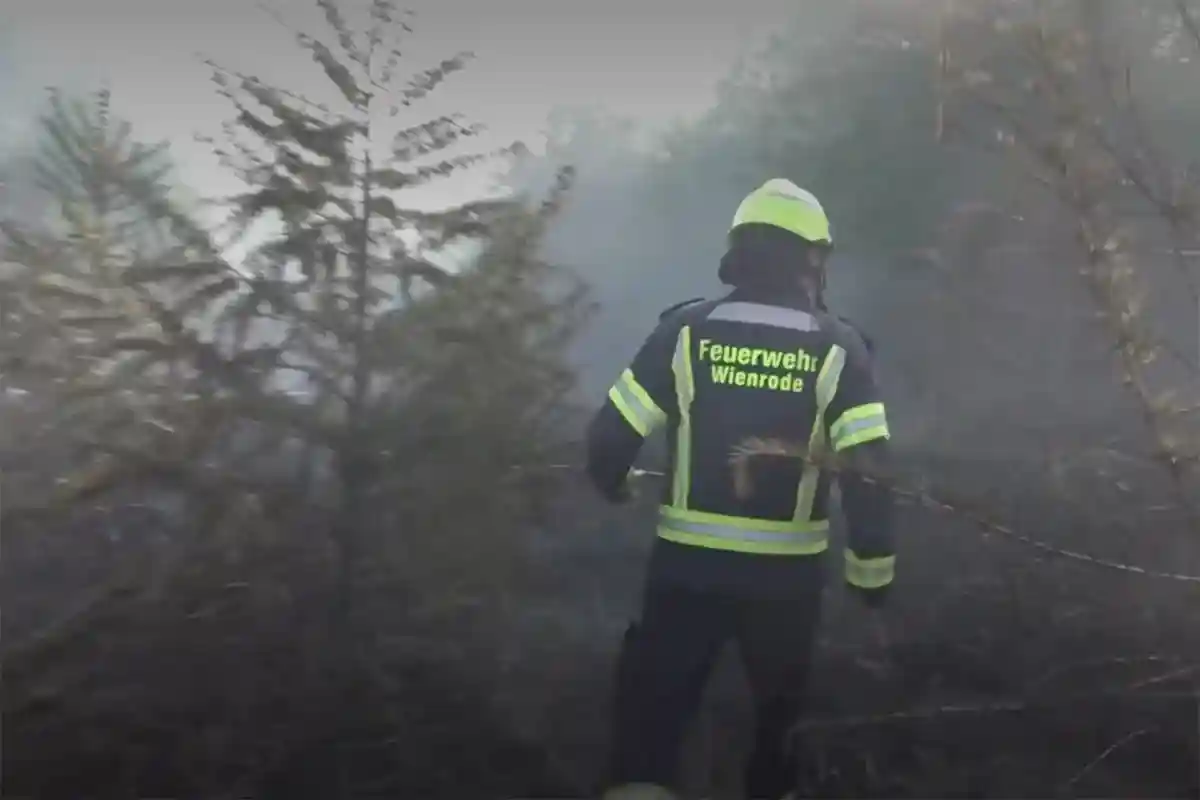 Пожар в Брокене: горят 6.5 гектаров леса
