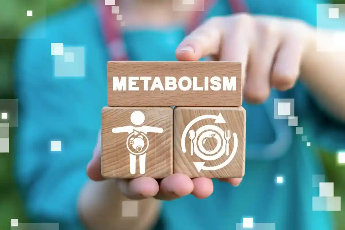 как улучшить метаболизм Фото: Panchenko Vladimir/shutterstock.com