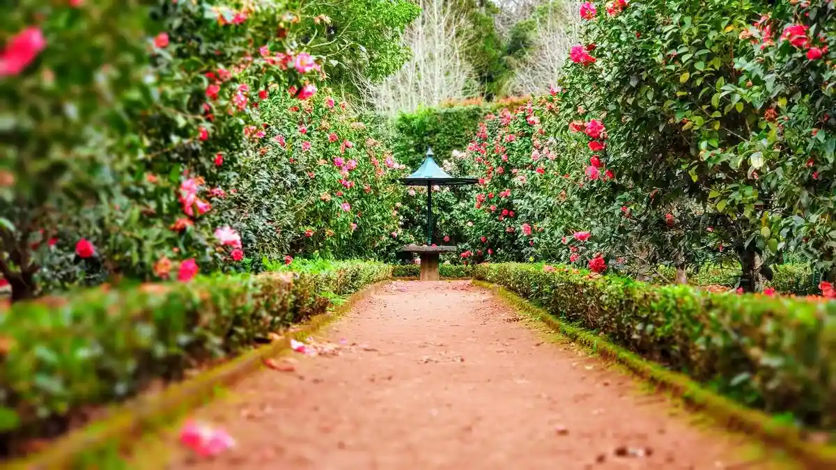 Скрытый сад мечты открыт не для всех. Фото: Ignacio Correia / Unsplash.com