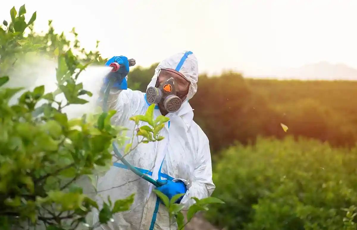 Европа оказалась в полной зависимости от пестицидов. Фото: David Moreno Hernandez / Shutterstock.com