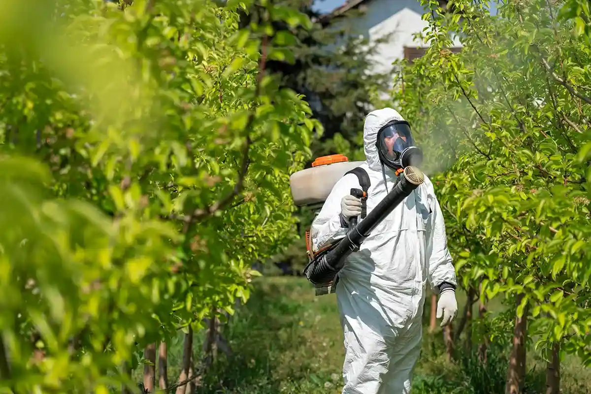 В полной зависимости от пестицидов