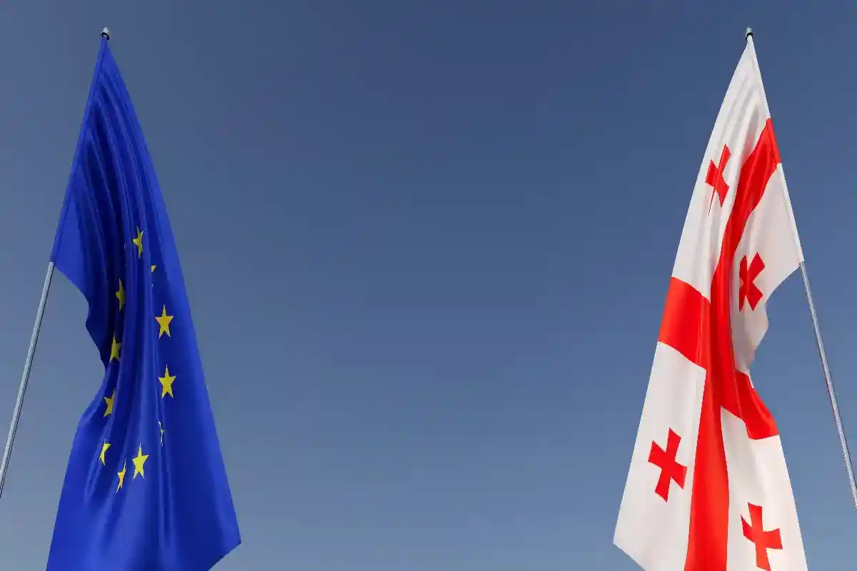 в Тбилиси требуют членства в ЕС