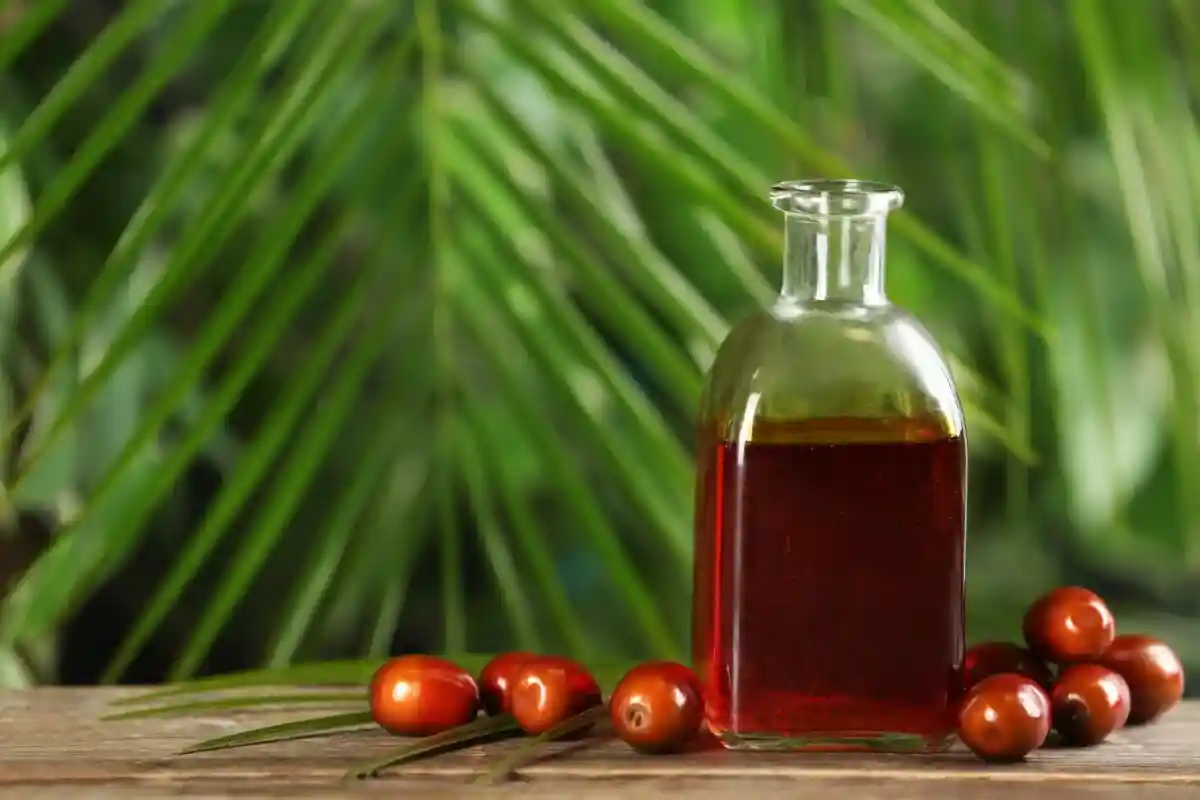 Возвращение пальмового масла в магазины: вынужденная мера. Фото: New Africa / shutterstock.com