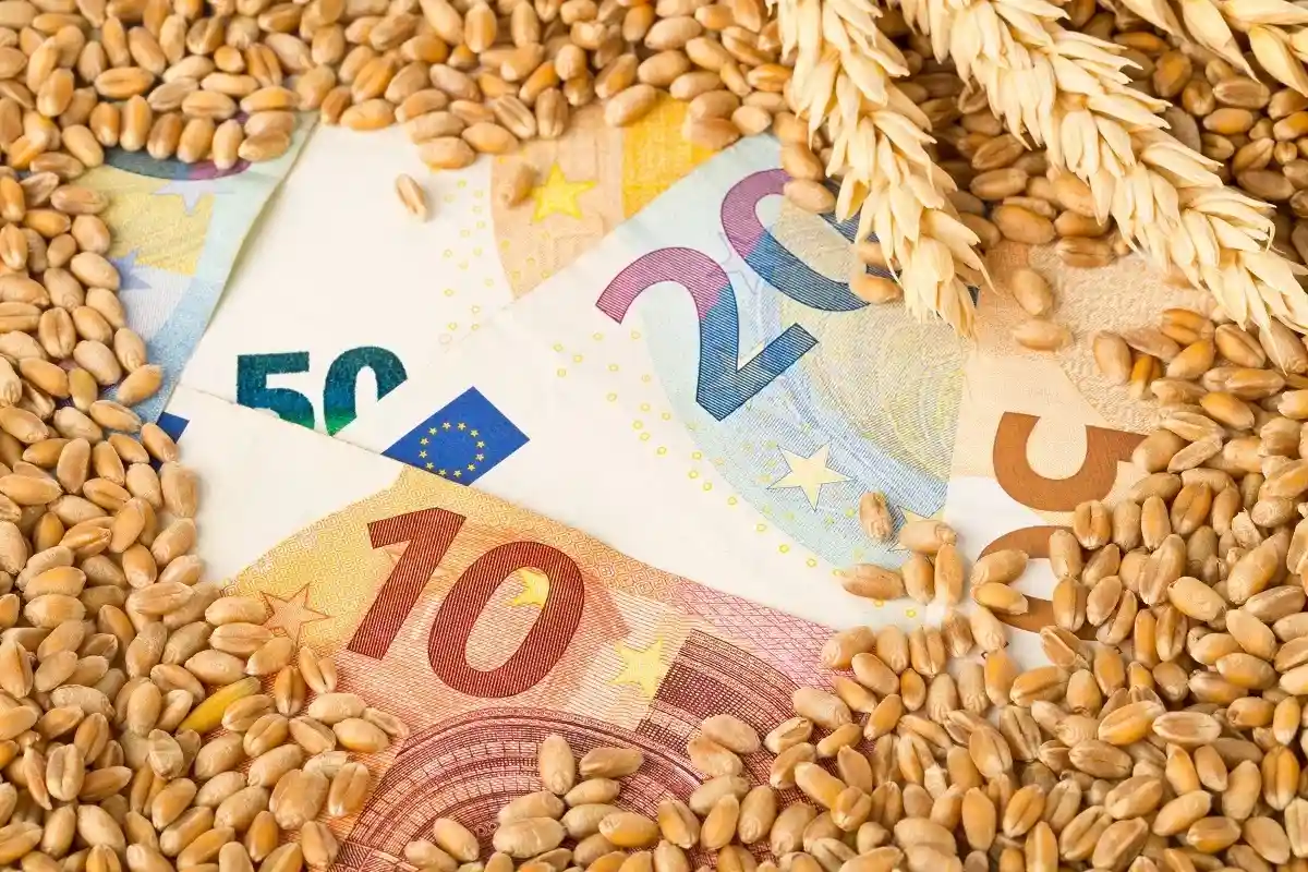 Цена на пшеницу упала до четырехмесячного минимума