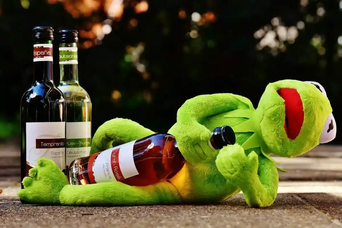 Алкоголизм — это заболевание, которое можно и нужно лечить Фото: Alexas_Fotos / Pixabay.com