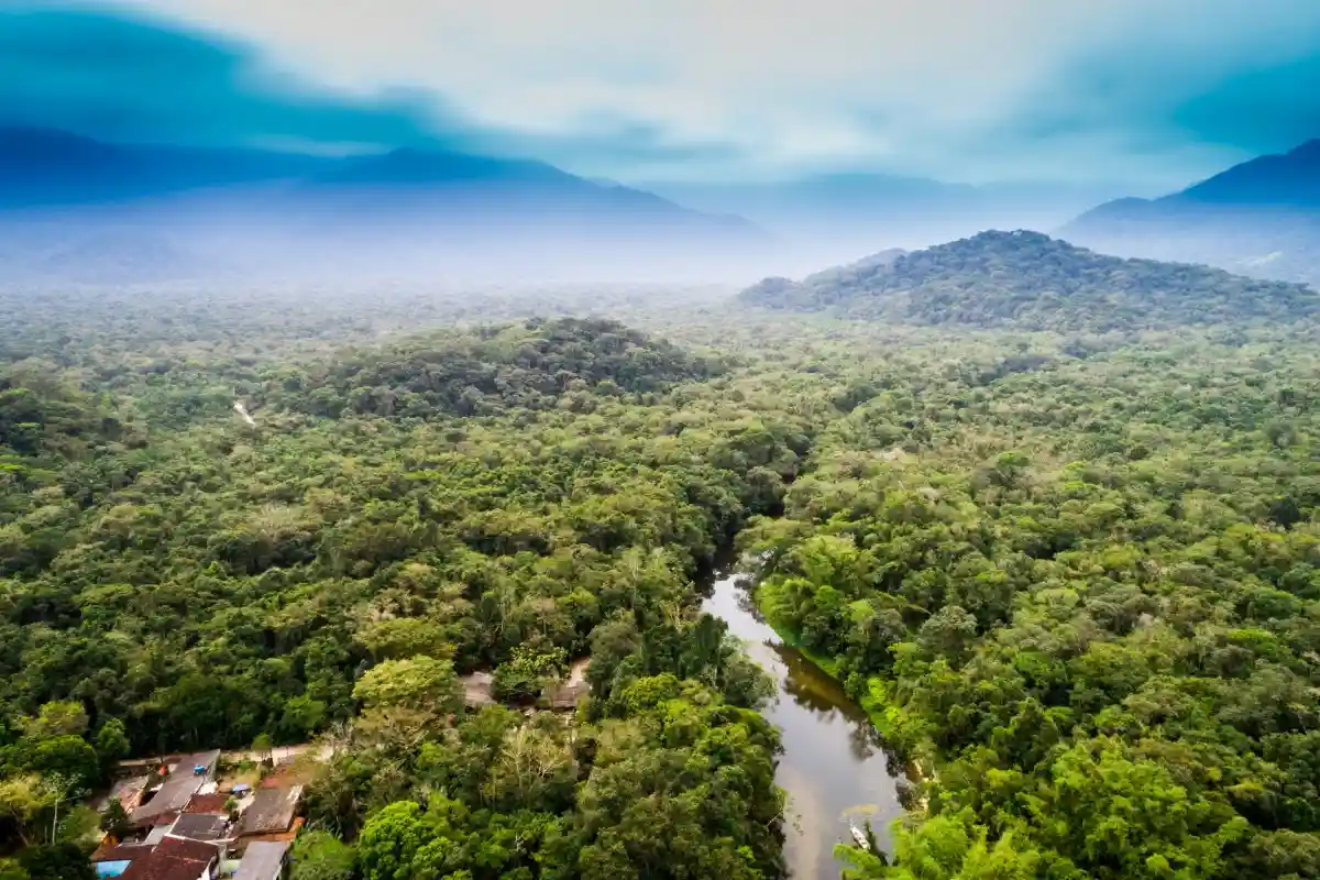 Бразилия разрешила проложить дорогу через леса Амазонки. Фото: Gustavo Frazao / Shutterstock.com