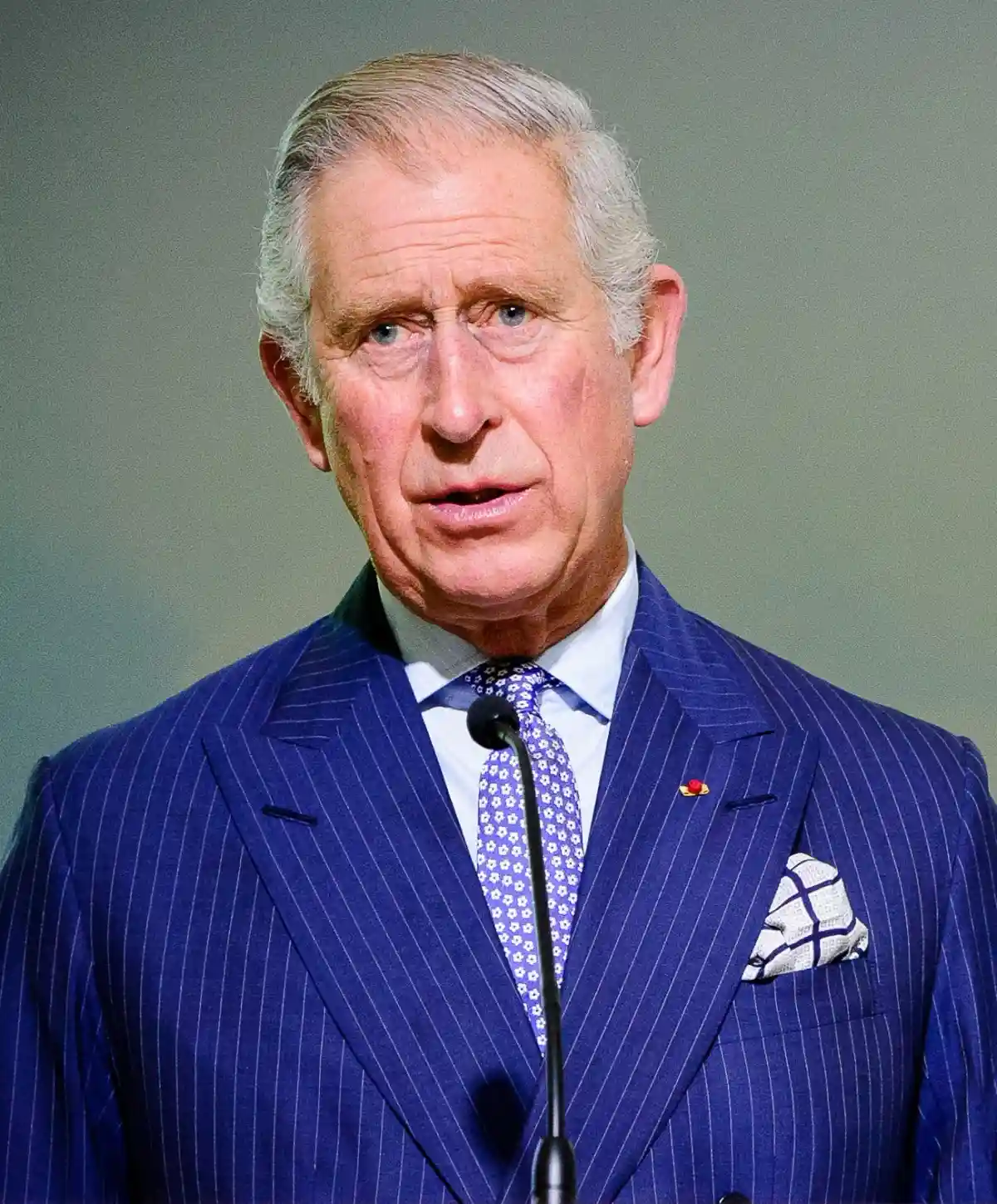 Принц Чарльз принимал пожертвования, не обращая внимания не риски для репутации. Фото: Arnaud BOUISSOU   / wikimedia