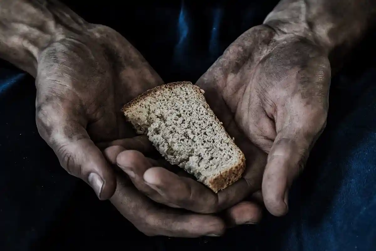 Отчет ООН: в мире голодает 2,3 млрд человек