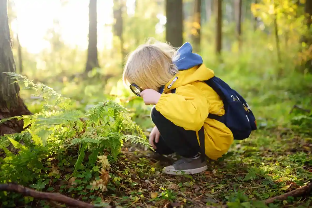 Как привить ребенку экологическую ответственность. Фото: Maria Sbytova / Shutterstock.com