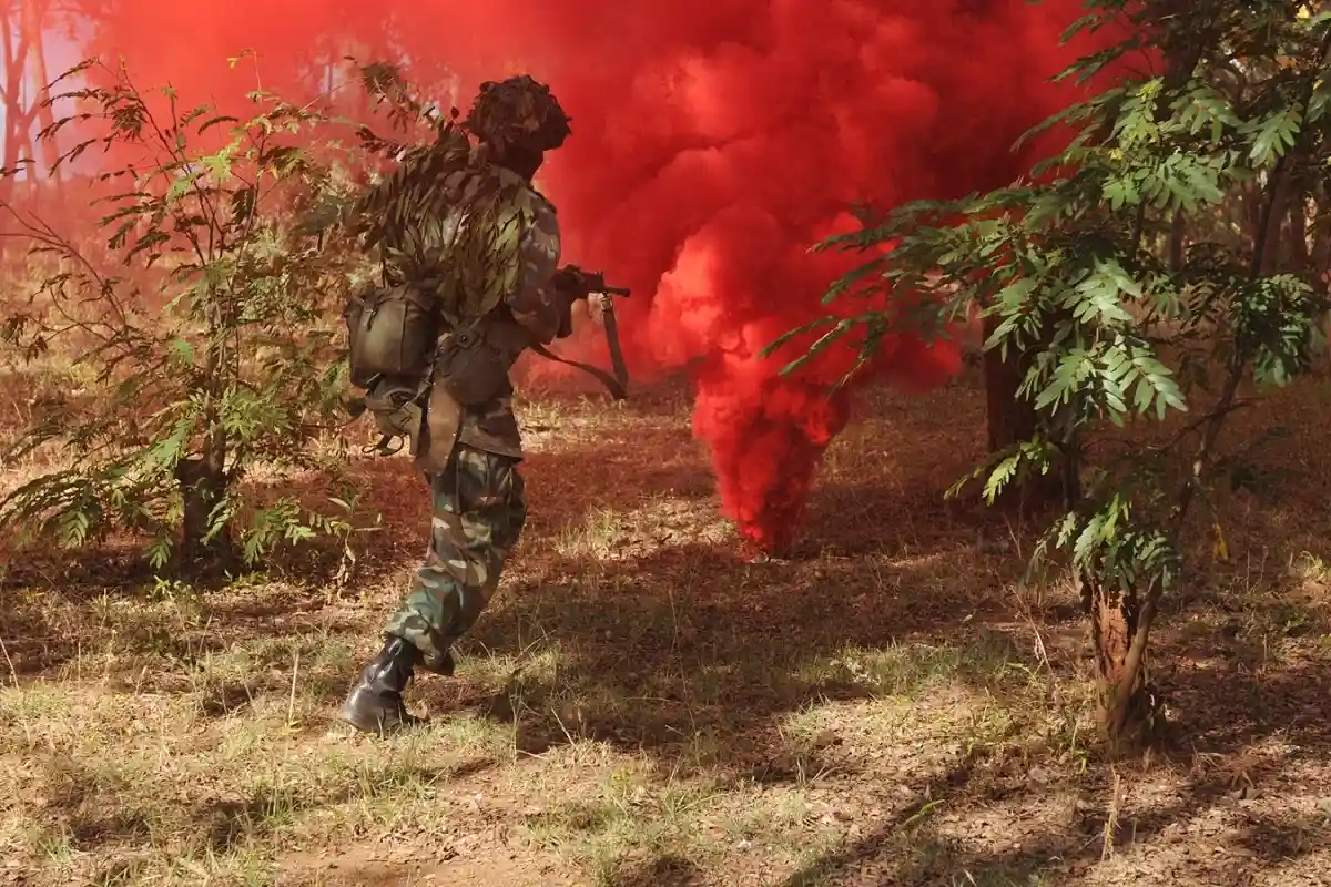 Боевики Мали. Фото: U.S. Army Southern European Task Force, Africa / Flickr.com