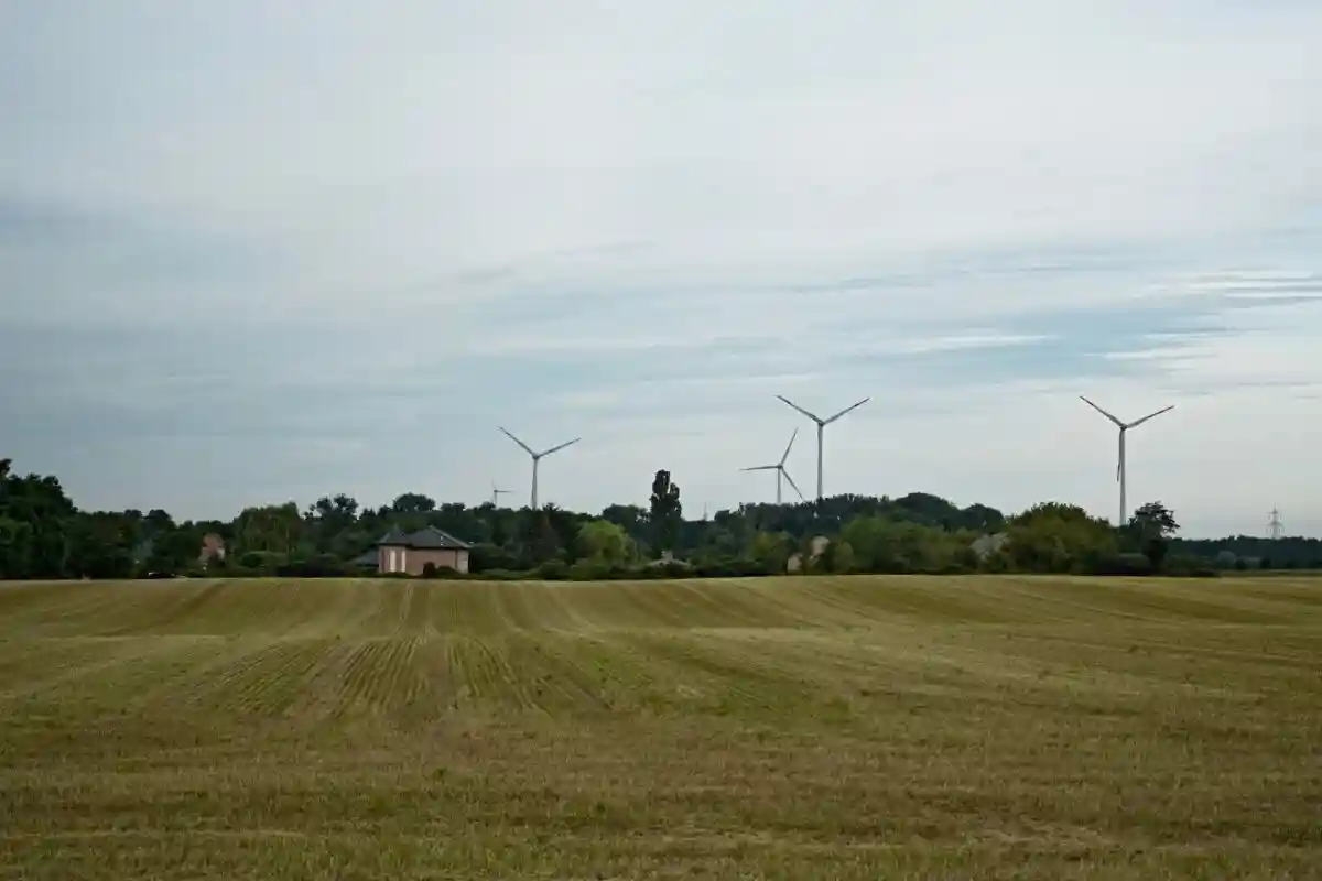 Ветрогенераторы в Германии Фото: Aleksejs Bocoks / aussiedlerbote.de