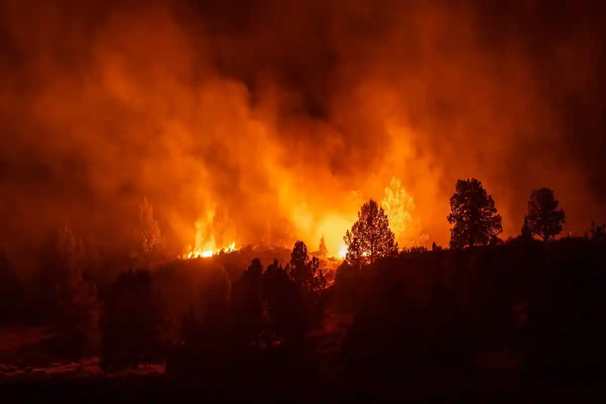 Сотни пожарных борются с огнем в лесах Португалии
