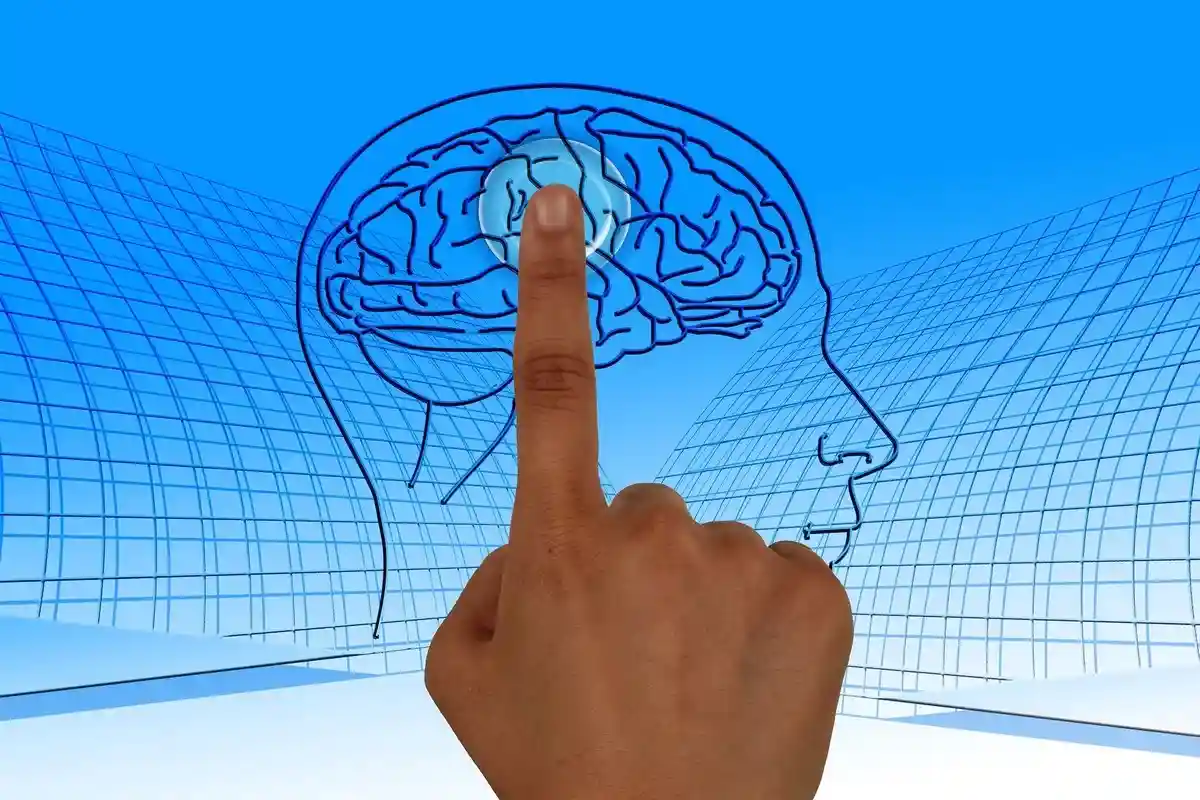 Человек использует больше 10% мозга в повседневной жизни. Фото: geralt / pixabay.com
