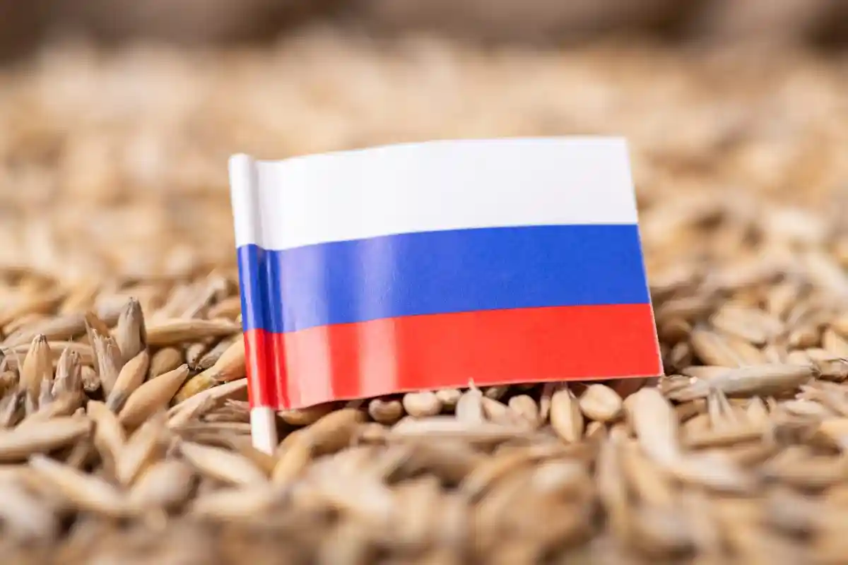 Россия, Турция и ООН подписали соглашение по экспорту зерна. Фото: Vitalii Stock / Shutterstock.com