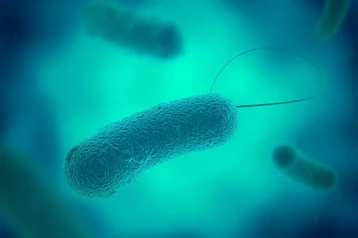 Синяя бактерия легионелла.