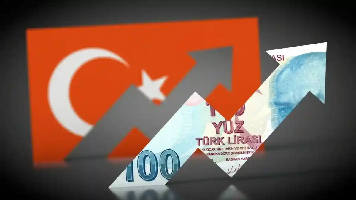 Инфляция в Турции растет: 80% за июнь. Фото: DesignRage / shutterstock.com