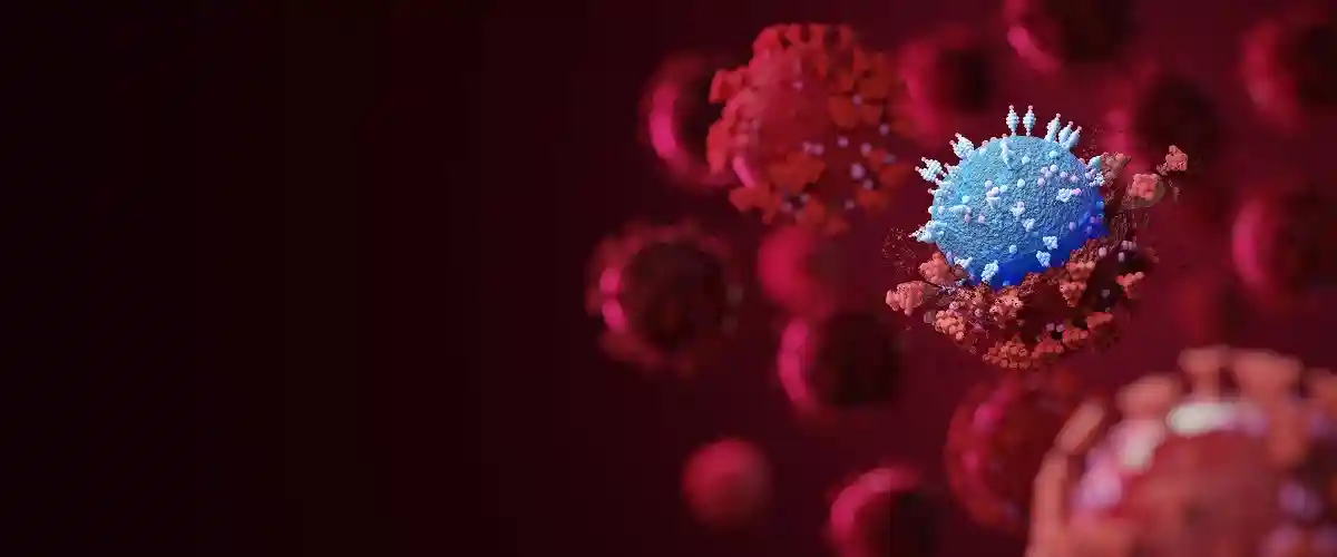 «Кентавр» отличается большой заразностью и устойчивостью к иммунитету на ковид. Его шипы быстро мутируют. Фото Fit Ztudio / shutterstock.com 