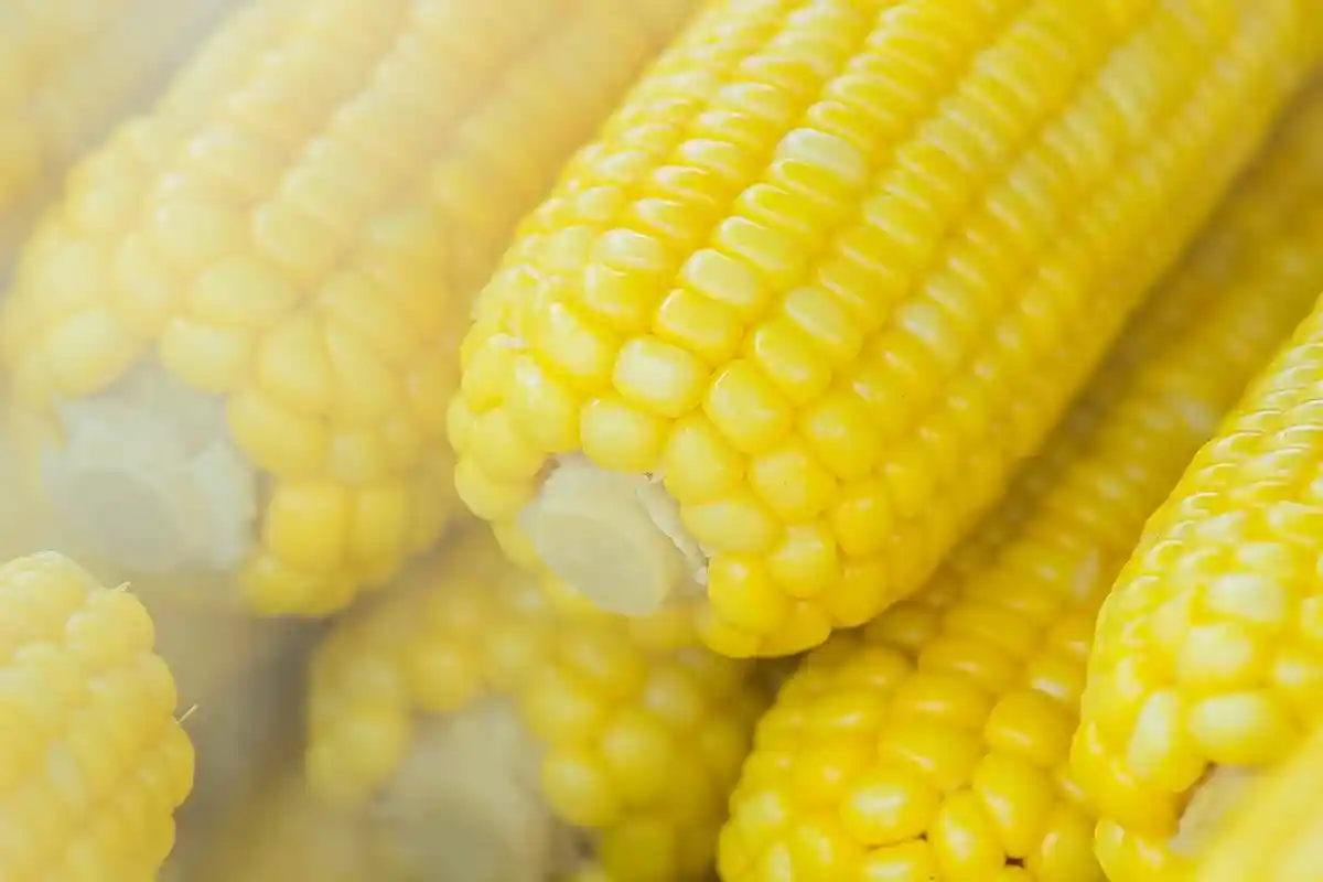 Кукуруза: польза и вред для организма. Фото: NEOSiAM 2021 / Pexels.com