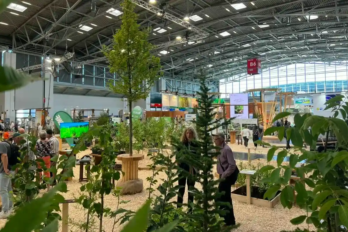Лесная ярмарка в Мюнхене: инновации для здорового леса