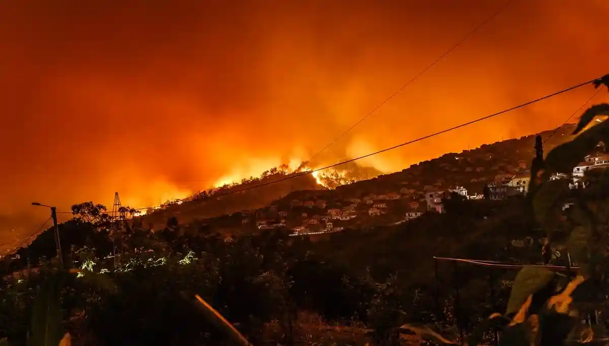 Лесные пожары в Португалии.