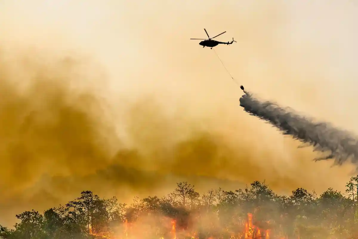 Лесные пожары на западе США