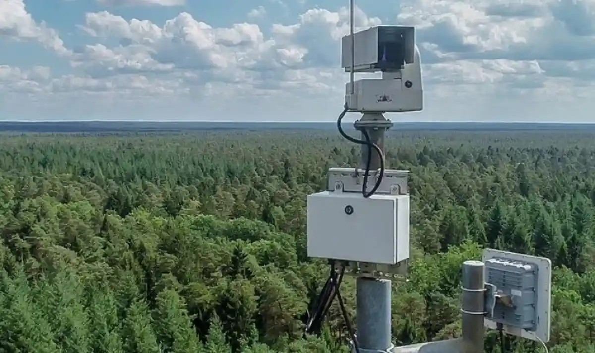 Лесные пожары в Саксонии предотвращают на этапе зарождения с помощью автоматических систем наблюдения. Фото: landesforsten.de