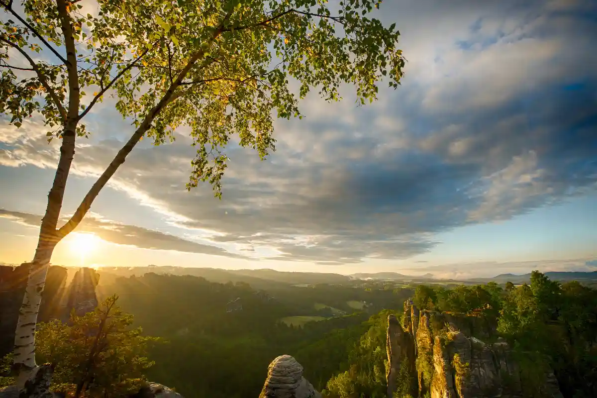 Национальный парк Саксонская Швейцария. Фото: Martin Damboldt / Pexels.com