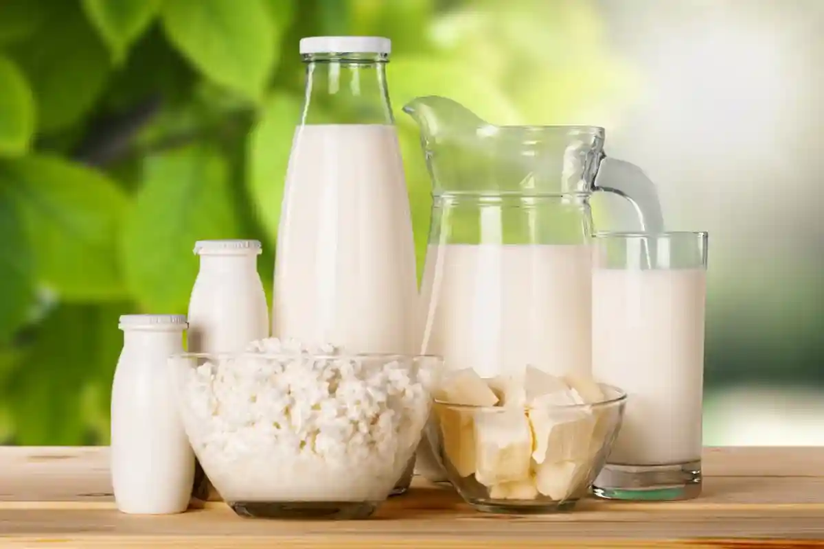 Молочная отрасль в Германии: производство продуктов под угрозой