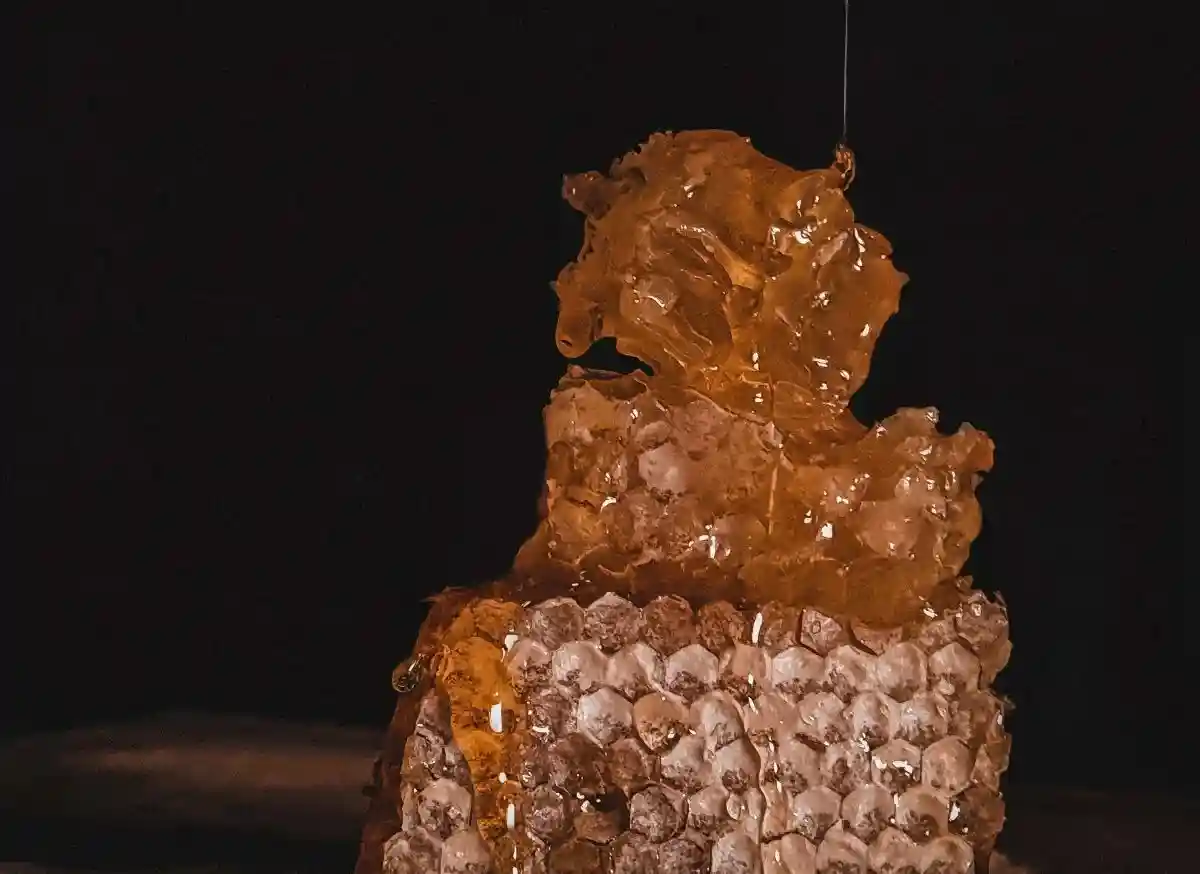 Натуральный мед стекает с ложки непрерывной струйкой. Фото: Yulia Ilina / pexels.com