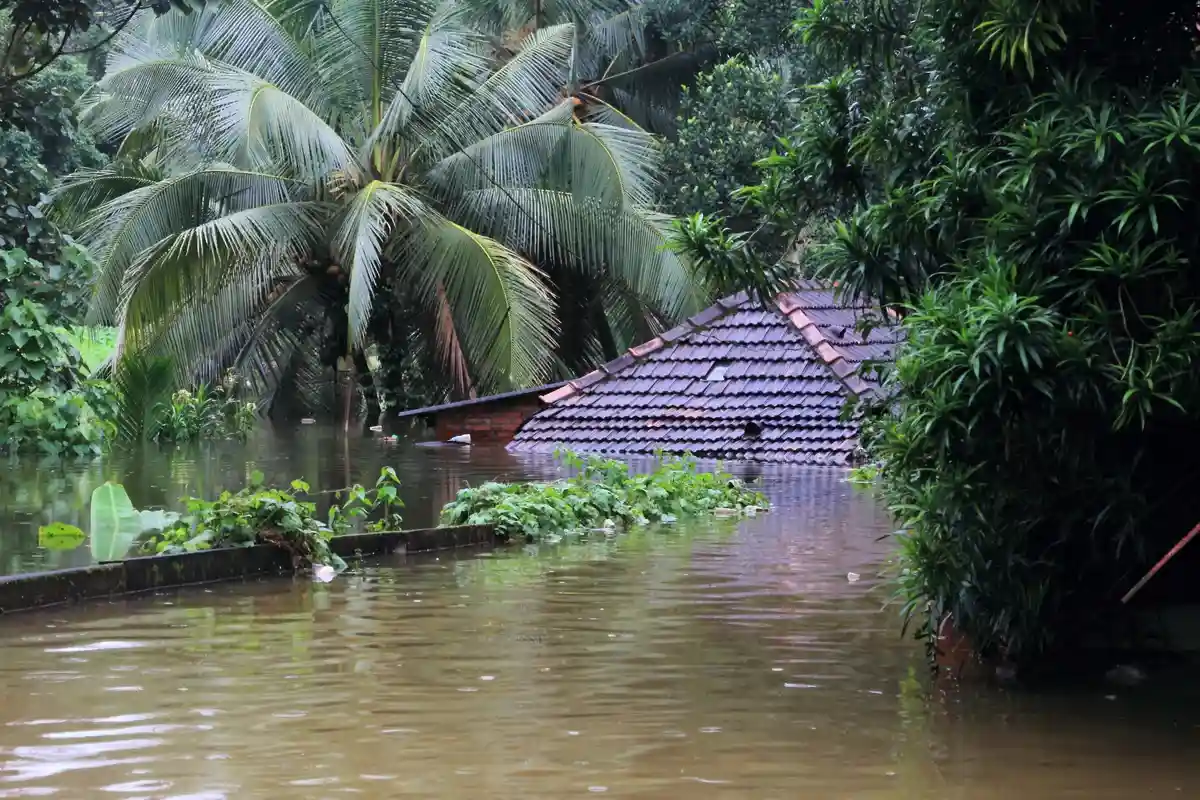 Наводнения в Индии затопили 1600 городов и поселков