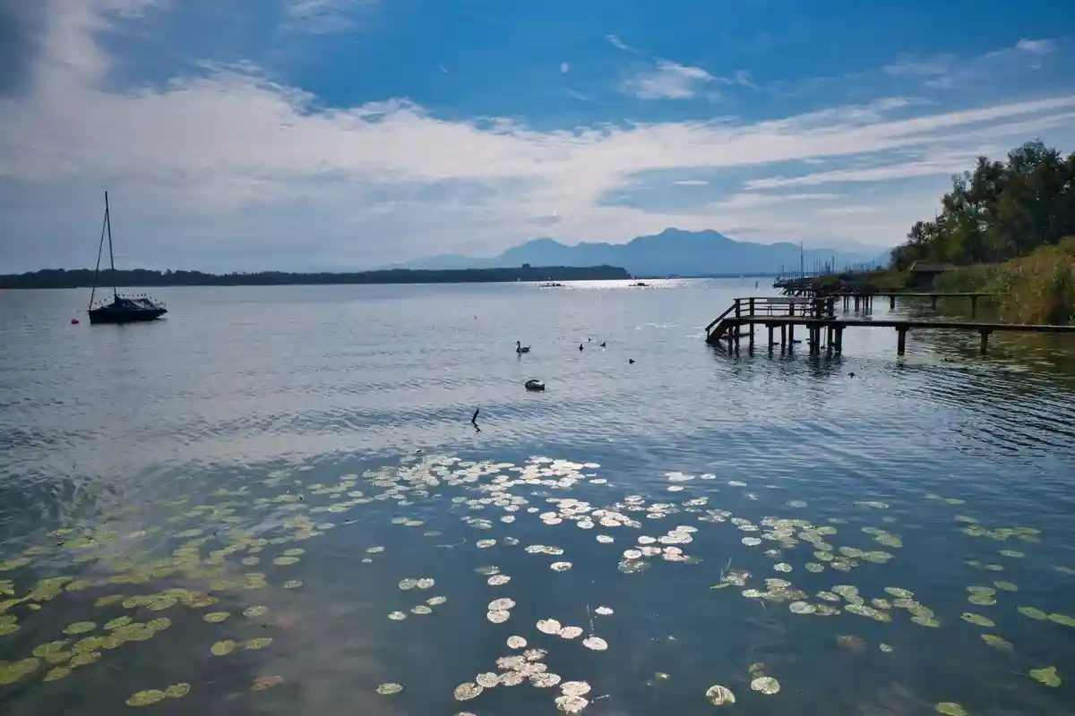 Озеро Зенфтенберг могут закрыть для посещения