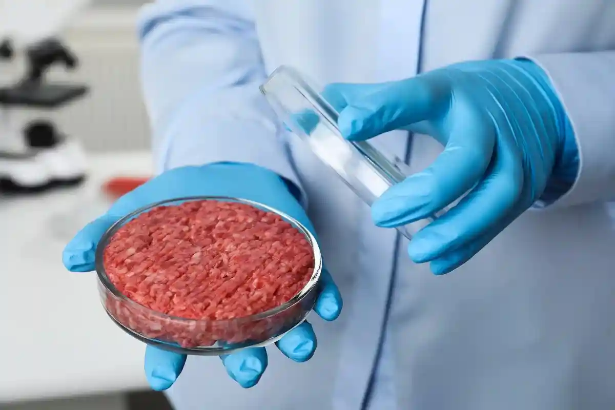 Польза лабораторного мяса еще изучается. Фото: New Africa / shutterstock.com
