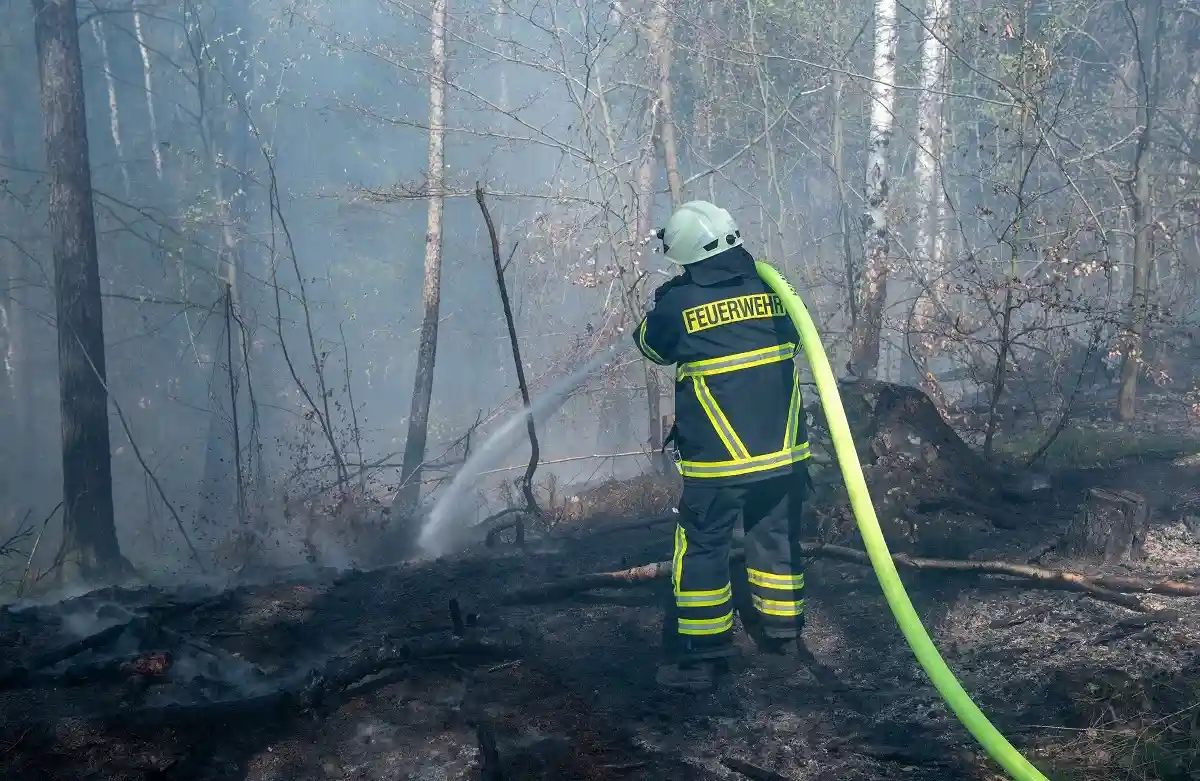 Пожарных на пожаре в Бранденбурге