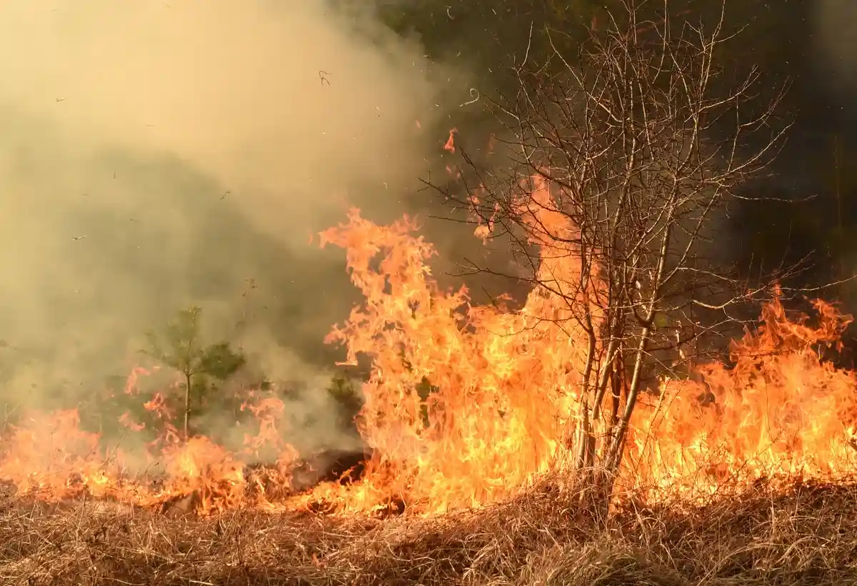 Лесные пожары во Франции и Испании угрожают тысячам людей