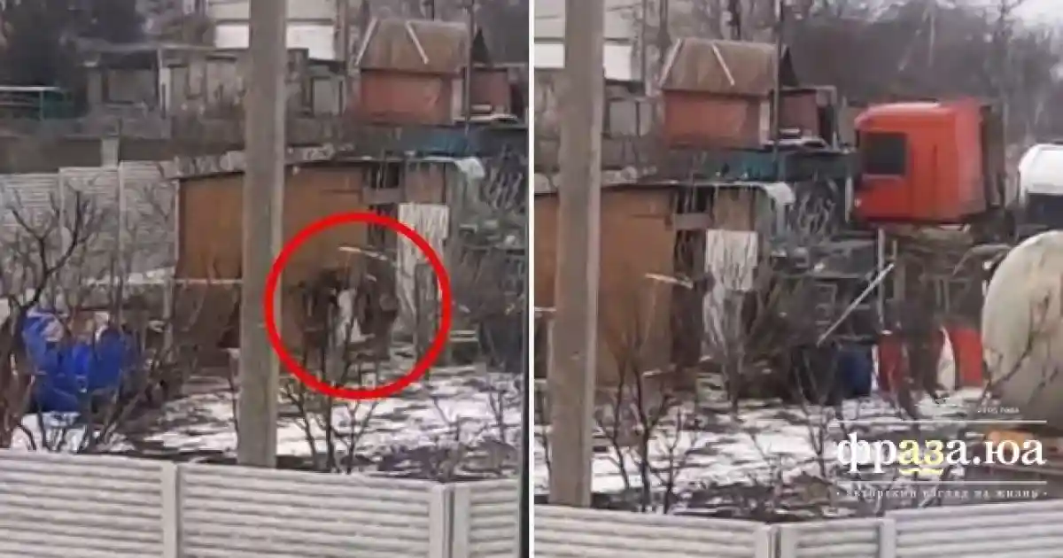 Русские солдаты грабят граждан Украины, выносят кур из курятника в частном дворе. Фото: fraza.com / YouTube