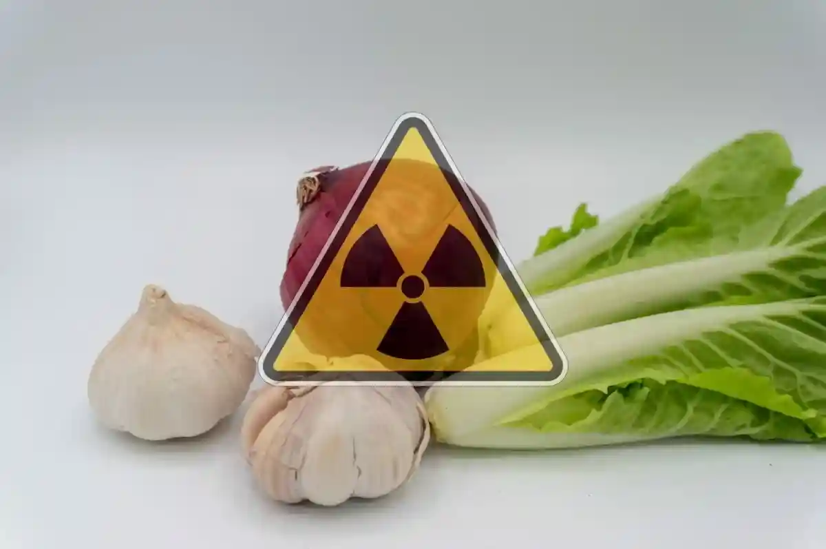 как защитить себя от радиации Фото: evan_huang\shutterstock.com