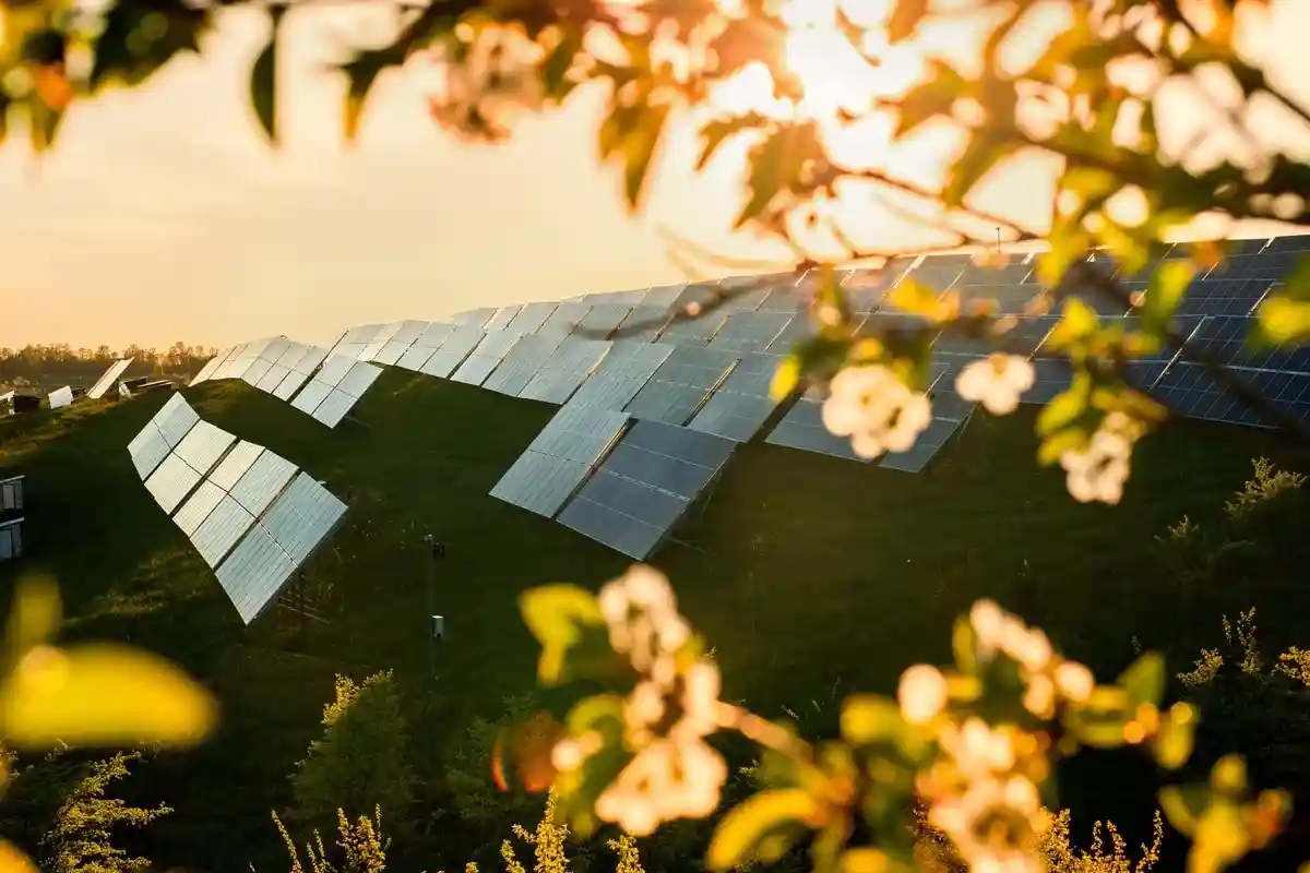 Солнечные парки Баварии дадут больше энергии к 2030 году. Фото: Pavlo Baliukh / shutterstock.com