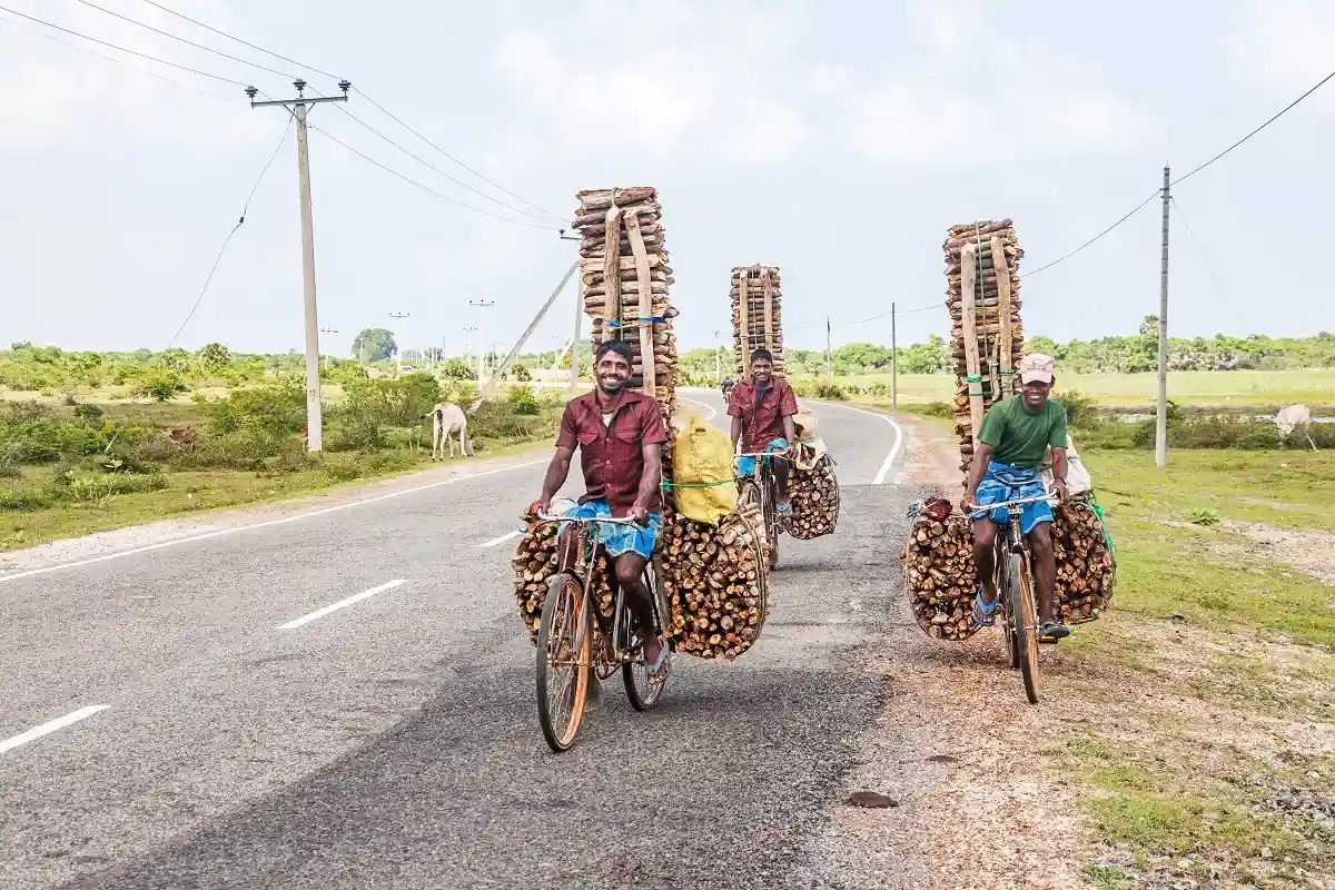 Жители Шри-Ланки пересаживаются с машин на велосипеды