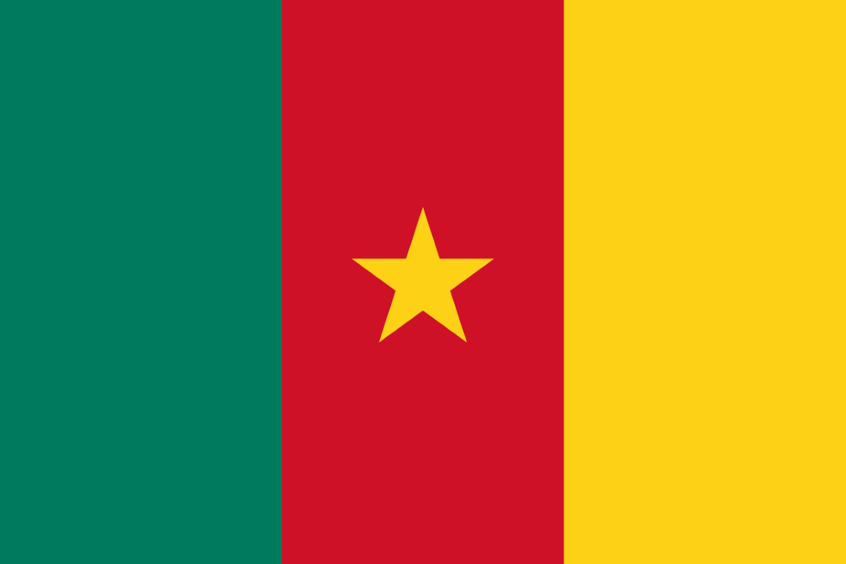 Главной задачей Макрона должно стать содействие созданию мирной и процветающей экономической среды в Камеруне. Фото: -xfi- / commons.wikimedia.org