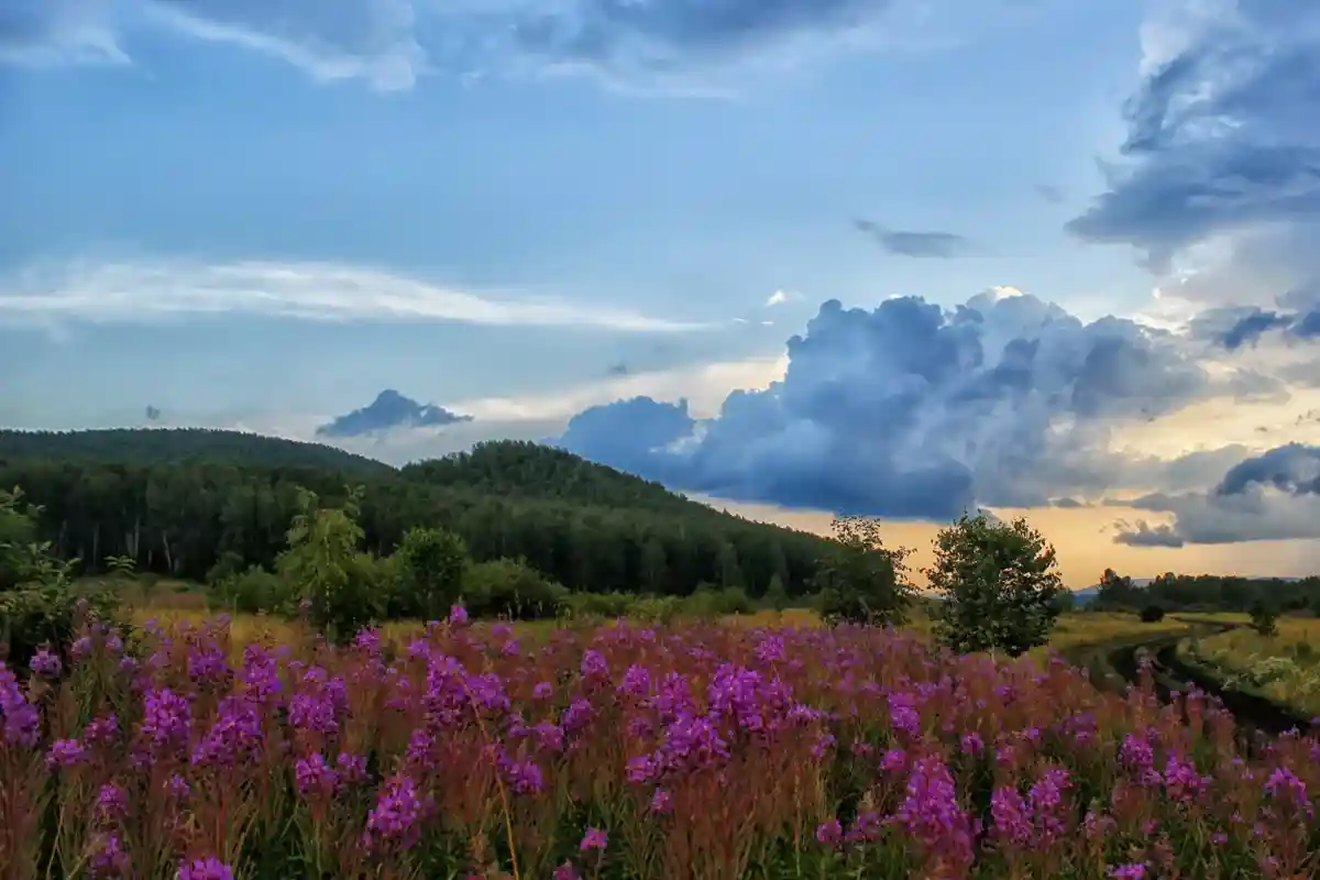Местная природа славится своей красочной красотой. Фото pixabay