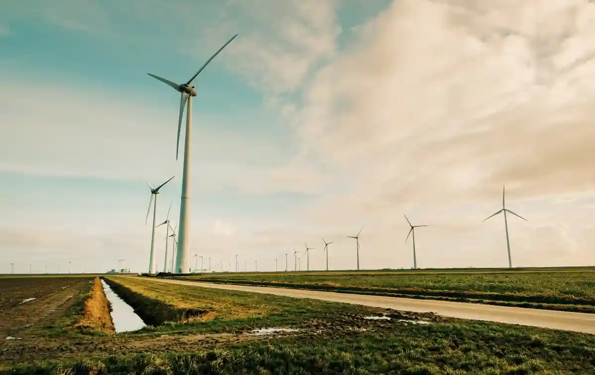 Ветрогенераторы, установленные в Нидерландах. Фото: Tom Swinnen / Pexels.com