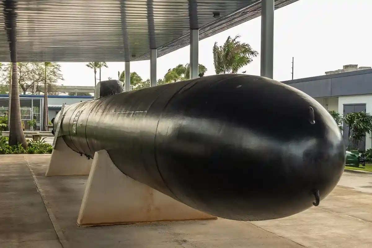 Благодаря меньшим размерам оружие может быть запущено практически с любой подводной лодки или военного корабля.