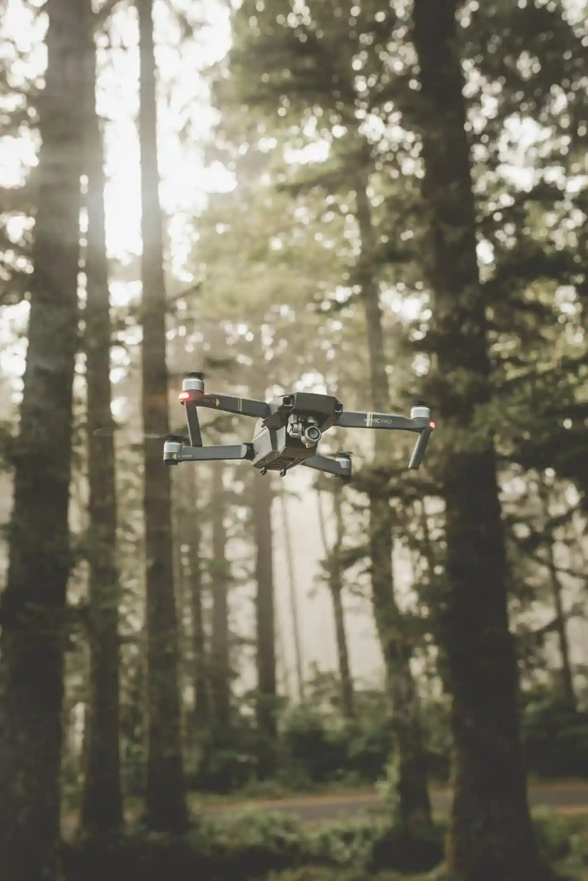 В Эрлангене ученые изобрели дроны для обнаружения лесных пожаров