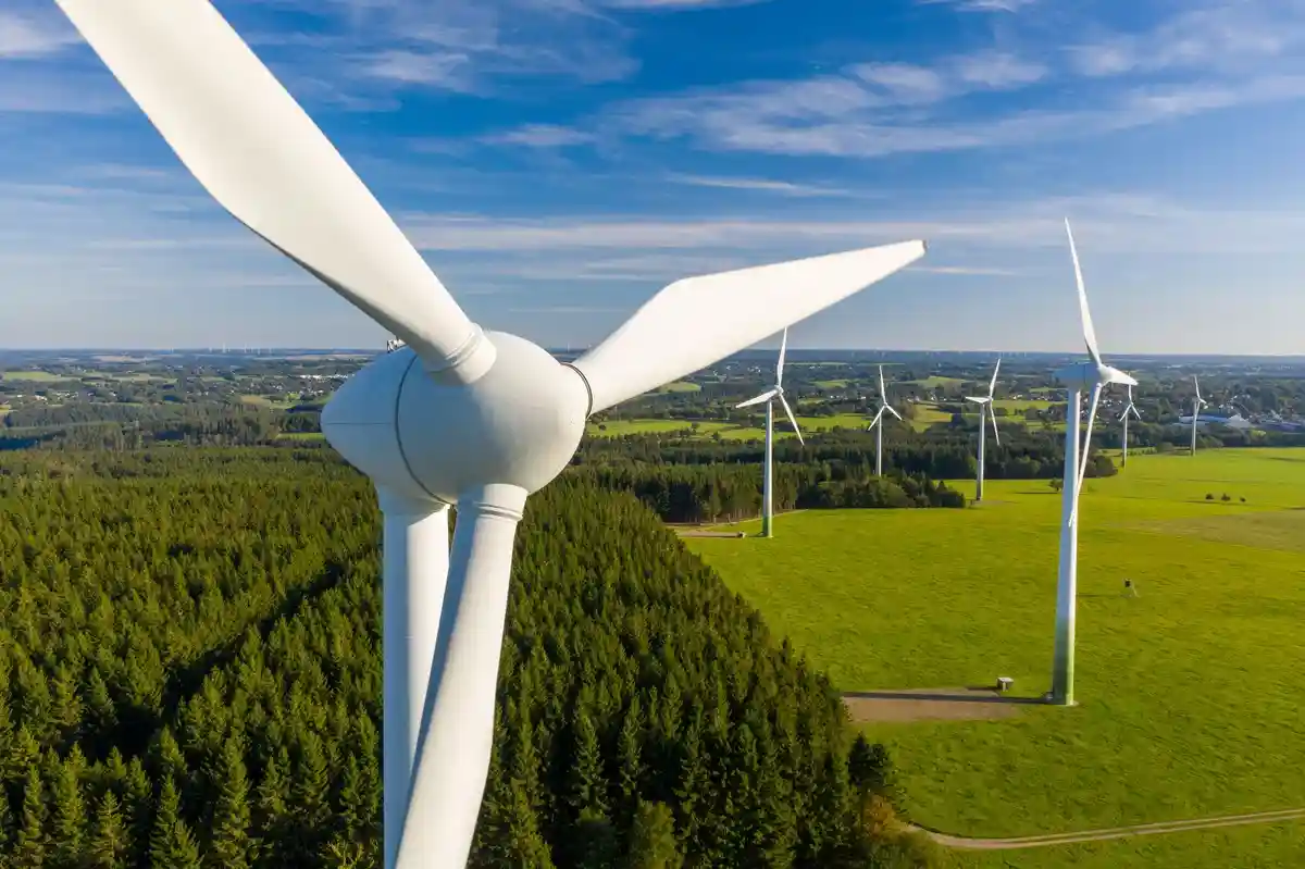 Ветроэнергетика может разрушить природное разнообразие Германии