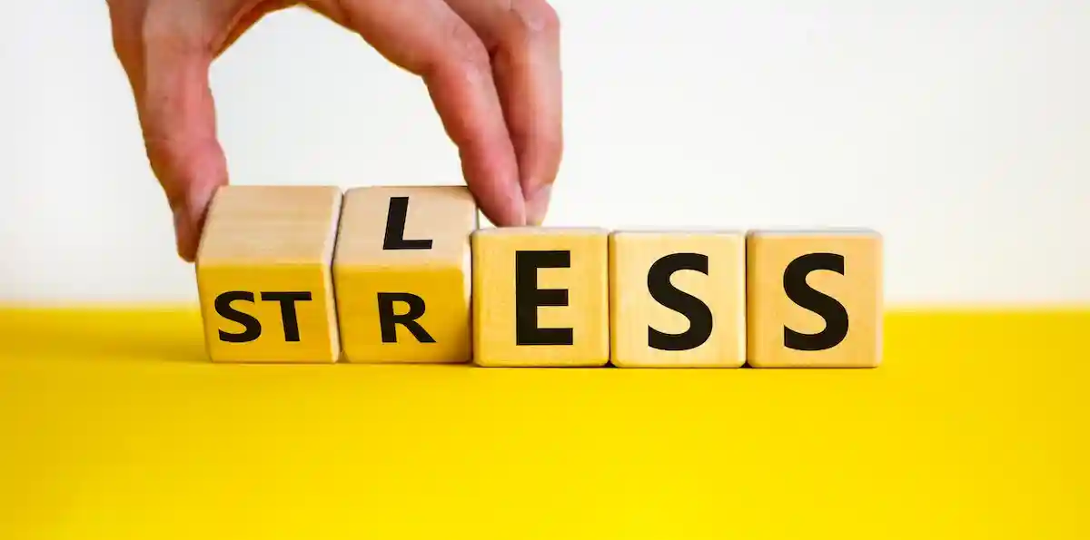 Вниманию бизнес-леди: важно стресс распознать и не попасть в жизненную ловушку. Фото: Dmitry Demidovich / shutterstock.com