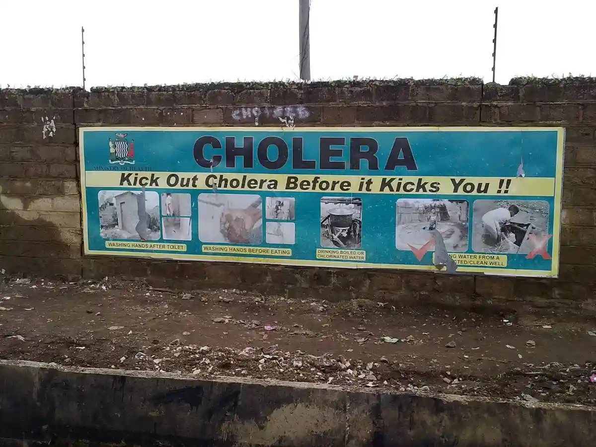холера