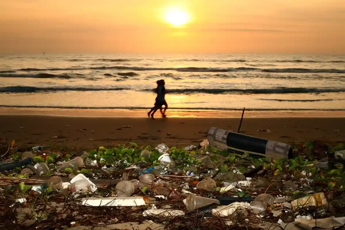 Я принадлежу тебе: пластиковые отходы, которые вынесло из моря. Фото: Sergei Tokmakov Terms.Law / Pixabay.com