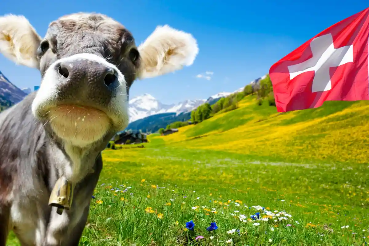 Защитить достоинство животных призывают в Швейцарии.