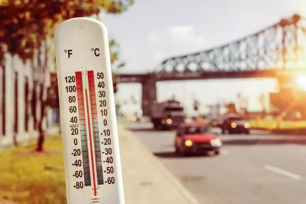Еще одно самое жаркое лето в Европе — лето 2019 года. Фото: Marc Bruxelle / Shutterstock.