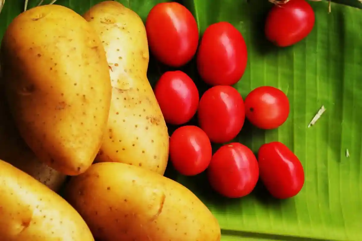 10 продуктов, которые могут быть токсичными: томаты и картофель. Фото: seagames50 images / shutterstock.com